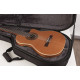 GODIN 041411 - TRIC CLASSIC FOLK CONCERT HALL