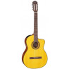 TAKAMINE GC3CE NAT