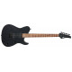 FUJIGEN JIL2-ASH-DE664G Iliad Dark Evolution Series (Open Pore Black)