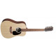 MARTIN D-X2E 12 STRING