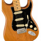 FENDER AMERICAN PRO II STRATOCASTER MN ROASTED PINE