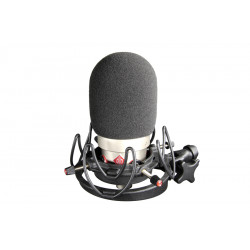 Rycote Foam Neumann TLM 103