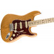 FENDER AMERICAN PROFESSIONAL LIMITED EDITION STRATOCASTER NM AGN