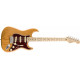 FENDER AMERICAN PROFESSIONAL LIMITED EDITION STRATOCASTER NM AGN