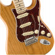 FENDER AMERICAN PROFESSIONAL LIMITED EDITION STRATOCASTER NM AGN