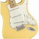 FENDER PLAYER STRATOCASTER MN BCR