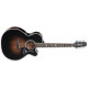 TAKAMINE EF450C-TT TBB