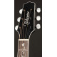 TAKAMINE EF450C-TT TBB