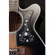 TAKAMINE EF450C-TT TBB