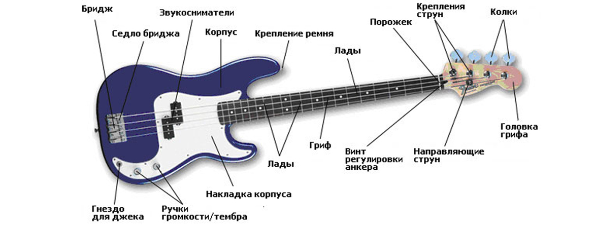 Басти бас. Строение бас гитары 4 струны. Электрогитара басс строение. Строение электро бас гитары. Строение гитары электро.