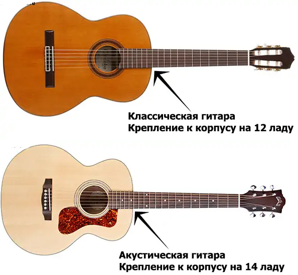 Части гитары